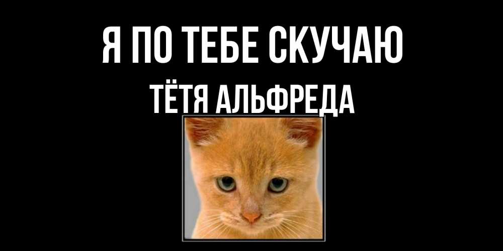 Открытка на каждый день с именем, Тётя-Альфреда Я по тебе скучаю открытки рыжий котенок скучает по тебе Прикольная открытка с пожеланием онлайн скачать бесплатно 