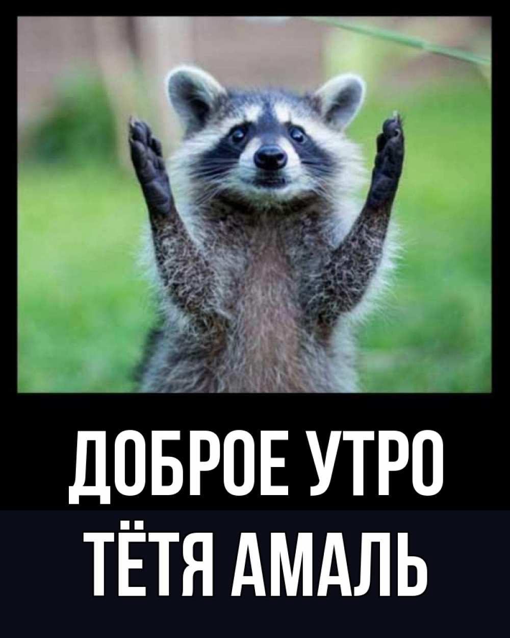 Открытка на каждый день с именем, Тётя-Амаль Доброе утро хорошее настроение утречком Прикольная открытка с пожеланием онлайн скачать бесплатно 