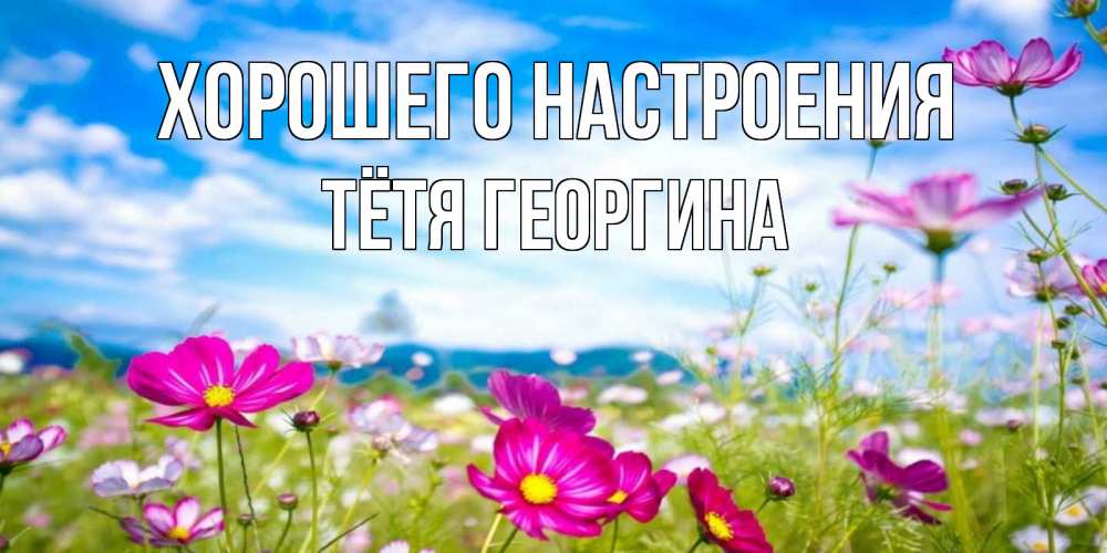 Открытка на каждый день с именем, Тётя-Георгина Хорошего настроения поле цветов Прикольная открытка с пожеланием онлайн скачать бесплатно 