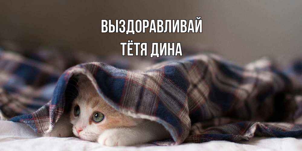 Открытка на каждый день с именем, Тётя-Дина Выздоравливай не болейте с котиком Прикольная открытка с пожеланием онлайн скачать бесплатно 