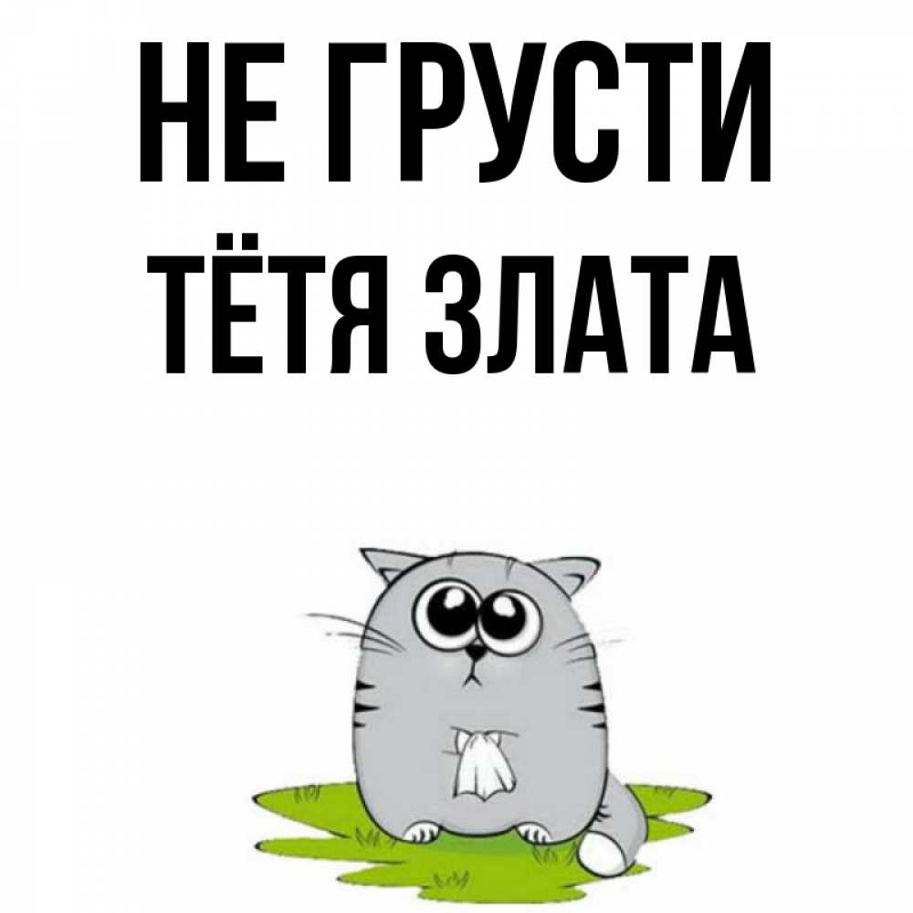 Открытка на каждый день с именем, Тётя-Злата Не грусти грустный котяра Прикольная открытка с пожеланием онлайн скачать бесплатно 
