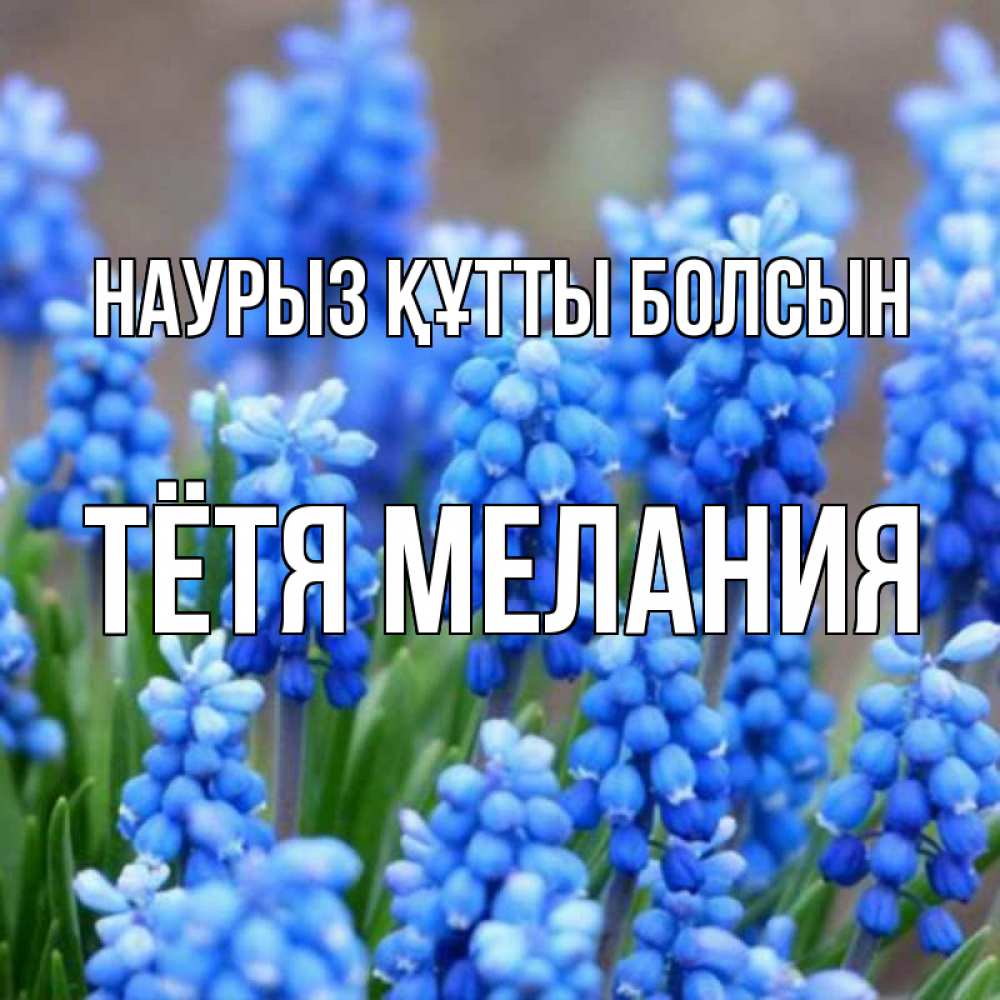 Открытка на каждый день с именем, Тётя-Мелания Наурыз құтты болсын Поздравительная открытка для женщин с цветами на праздничную дату Прикольная открытка с пожеланием онлайн скачать бесплатно 