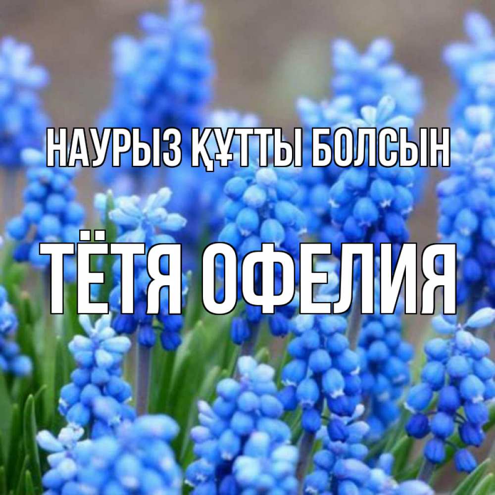 Открытка на каждый день с именем, Тётя-Офелия Наурыз құтты болсын Поздравительная открытка для женщин с цветами на праздничную дату Прикольная открытка с пожеланием онлайн скачать бесплатно 