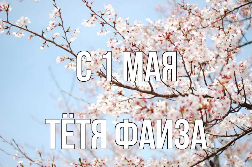 Открытка на каждый день с именем, Тётя-Фаиза С 1 мая С 1 мая Прикольная открытка с пожеланием онлайн скачать бесплатно 