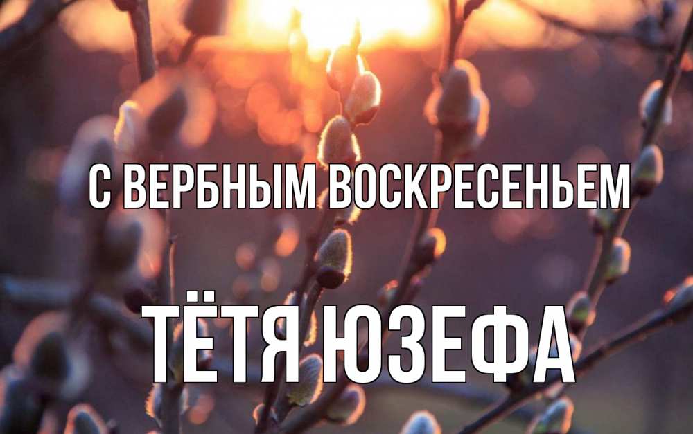 Открытка на каждый день с именем, Тётя-Юзефа С вербным воскресеньем верба Прикольная открытка с пожеланием онлайн скачать бесплатно 
