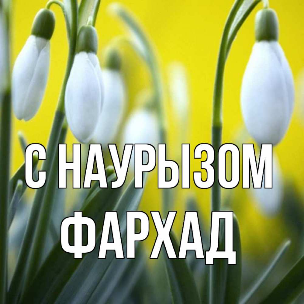 Открытка на каждый день с именем, Фархад С наурызом весенние цветы Прикольная открытка с пожеланием онлайн скачать бесплатно 