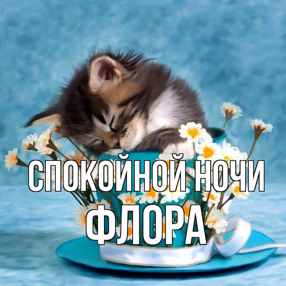 Открытка на каждый день с именем, Флора Спокойной ночи котенок спит в кружке с блюдцем Прикольная открытка с пожеланием онлайн скачать бесплатно 