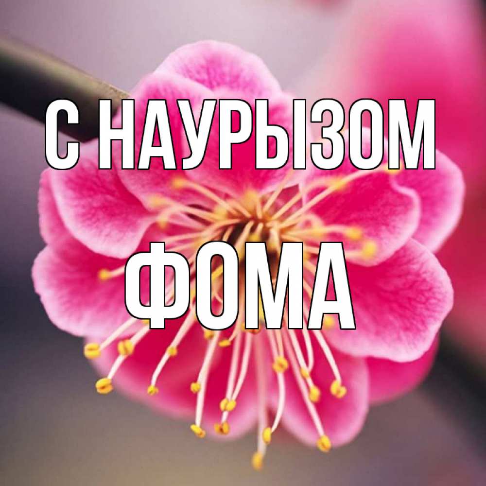 Открытка на каждый день с именем, Фома С наурызом цветы Прикольная открытка с пожеланием онлайн скачать бесплатно 