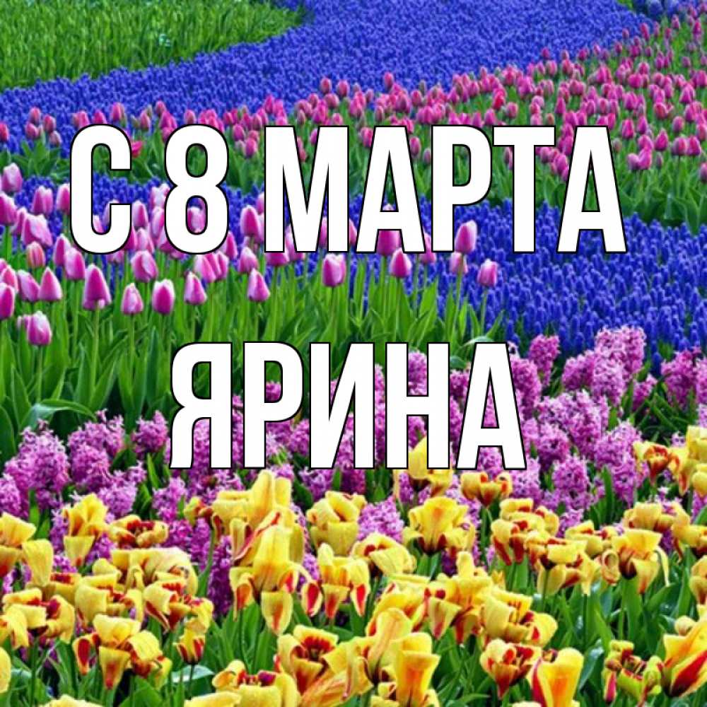 Открытка на каждый день с именем, Ярина С 8 МАРТА цветы Прикольная открытка с пожеланием онлайн скачать бесплатно 