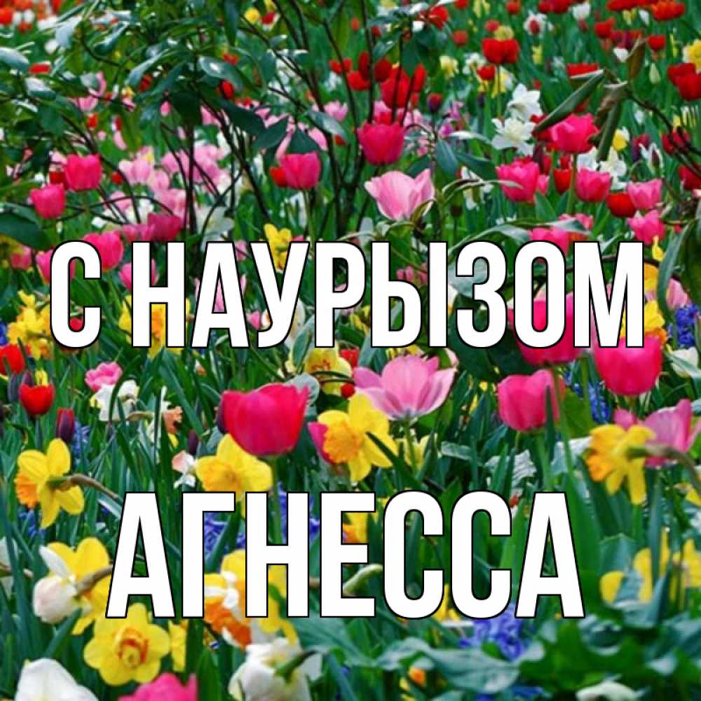 Открытка на каждый день с именем, Агнесса С наурызом с наурызом праздником весны поздравления для женщины Прикольная открытка с пожеланием онлайн скачать бесплатно 