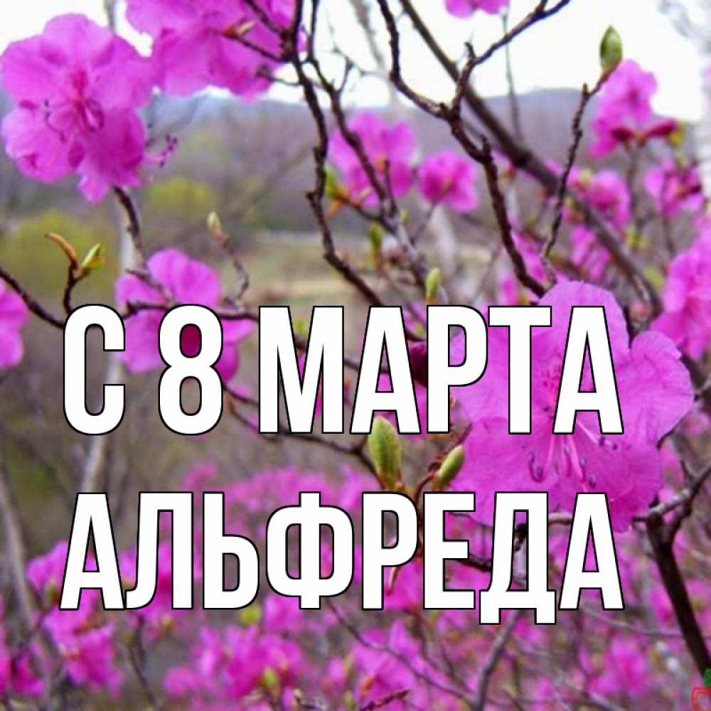 Открытка на каждый день с именем, Альфреда С 8 МАРТА международный женский день Прикольная открытка с пожеланием онлайн скачать бесплатно 
