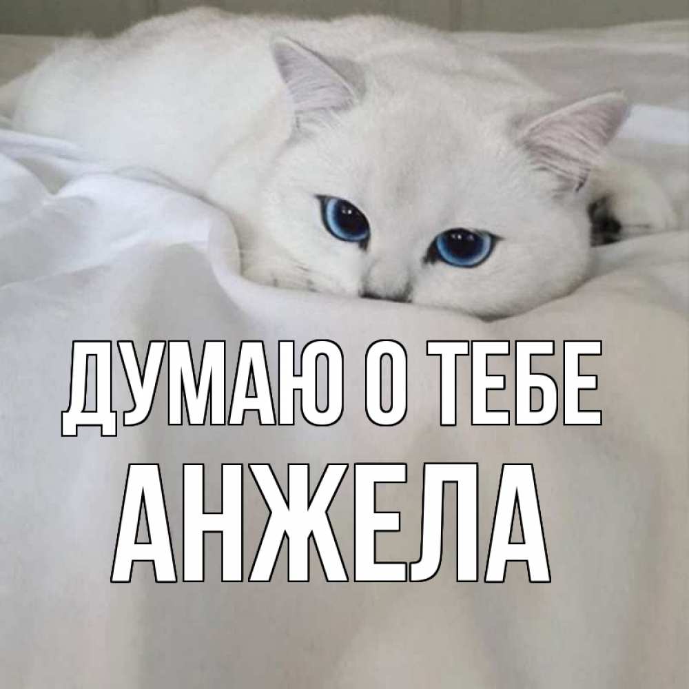 Открытка на каждый день с именем, Анжела Думаю о тебе я очень по тебе скучаю и тоскую Прикольная открытка с пожеланием онлайн скачать бесплатно 