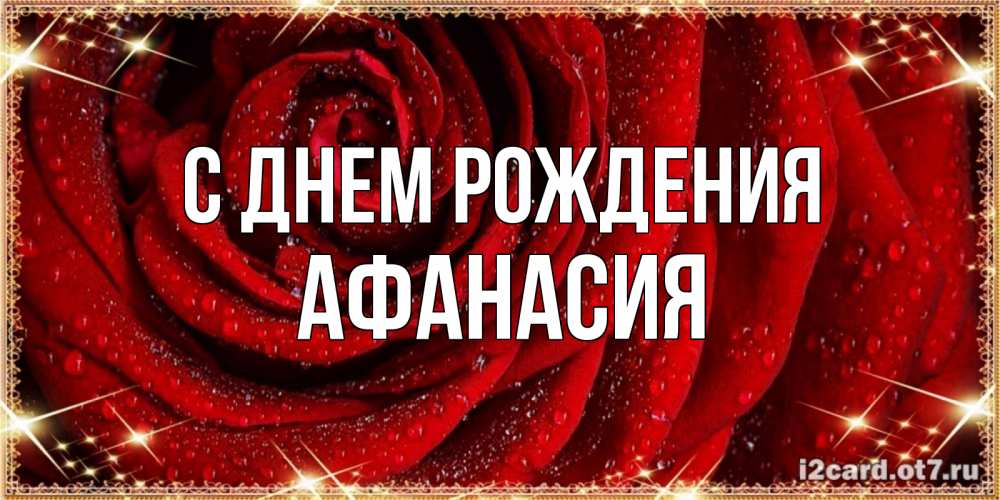 Открытка на каждый день с именем, Афанасия С днем рождения роса на розе блестящая в лучах солнца Прикольная открытка с пожеланием онлайн скачать бесплатно 