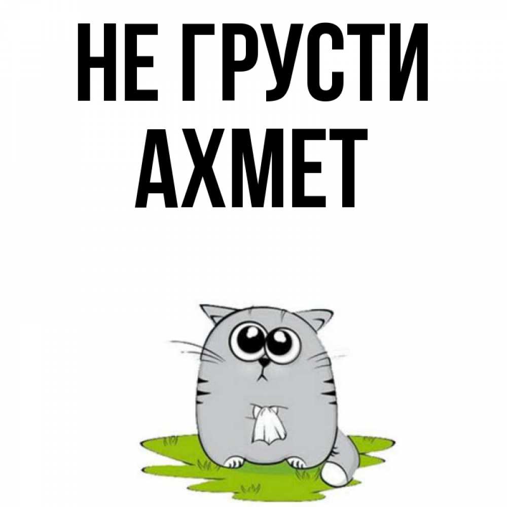Открытка на каждый день с именем, Ахмет Не грусти грустный котяра Прикольная открытка с пожеланием онлайн скачать бесплатно 