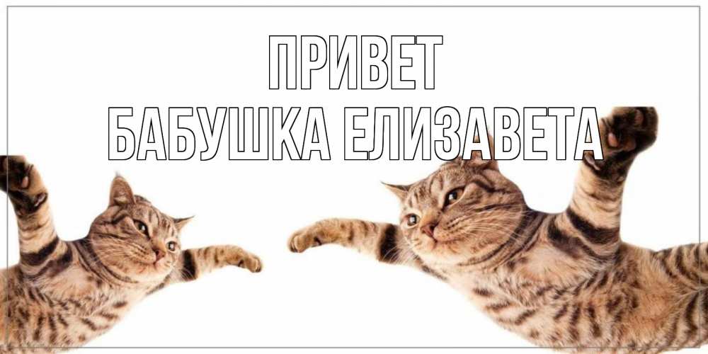 Открытка на каждый день с именем, Бабушка-Елизавета Привет кот Прикольная открытка с пожеланием онлайн скачать бесплатно 