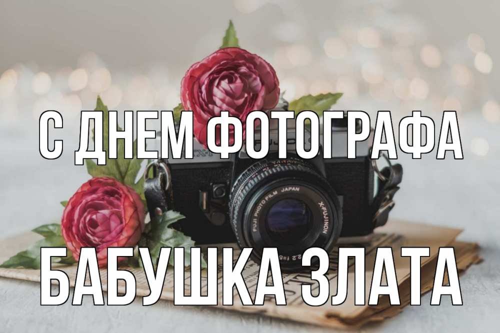 Открытка на каждый день с именем, Бабушка-Злата С днем фотографа с днем фотографа Прикольная открытка с пожеланием онлайн скачать бесплатно 