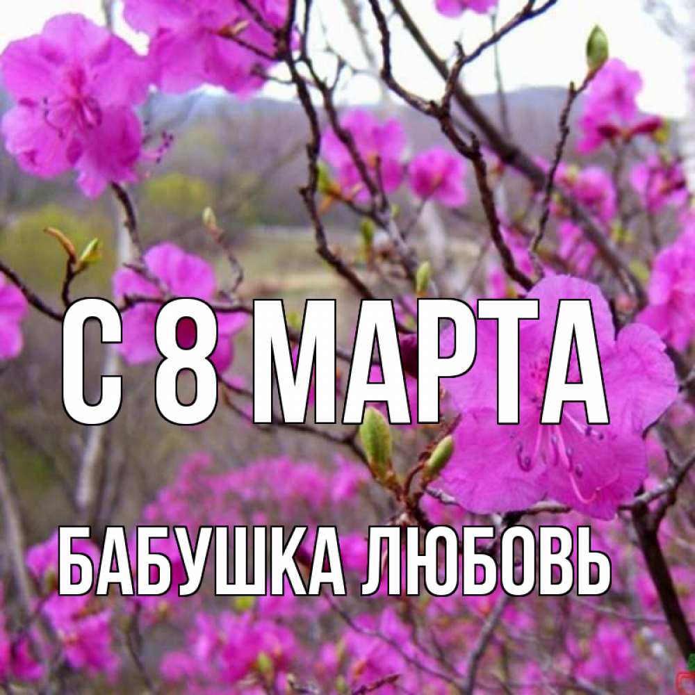 Открытка на каждый день с именем, Бабушка-Любовь С 8 марта международный женский день Прикольная открытка с пожеланием онлайн скачать бесплатно 