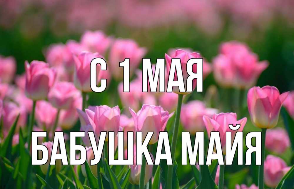 Открытка на каждый день с именем, Бабушка-Майя С 1 мая С 1 мая Прикольная открытка с пожеланием онлайн скачать бесплатно 