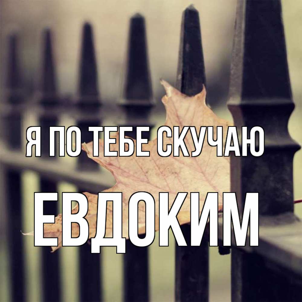 Открытка на каждый день с именем, Евдоким Я по тебе скучаю очень скучно Прикольная открытка с пожеланием онлайн скачать бесплатно 