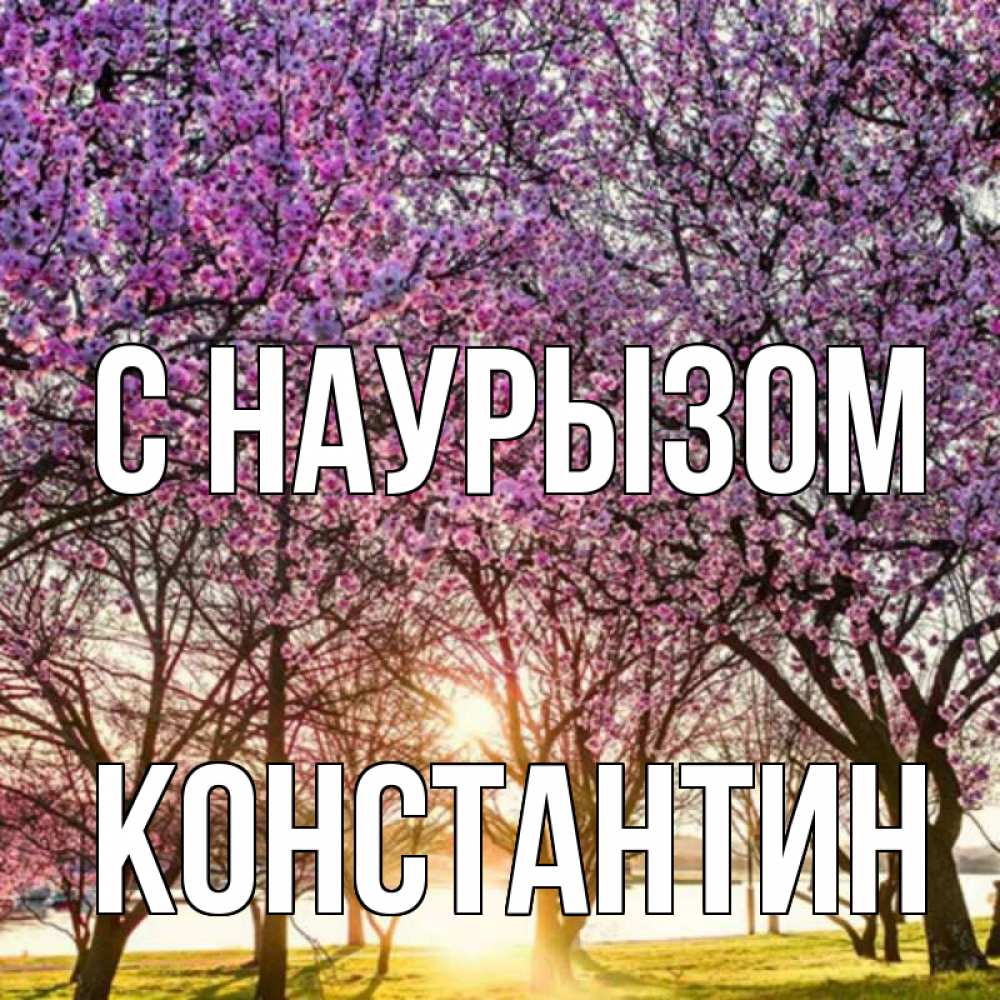 Открытка на каждый день с именем, Константин С наурызом праздник весны наурыз Прикольная открытка с пожеланием онлайн скачать бесплатно 