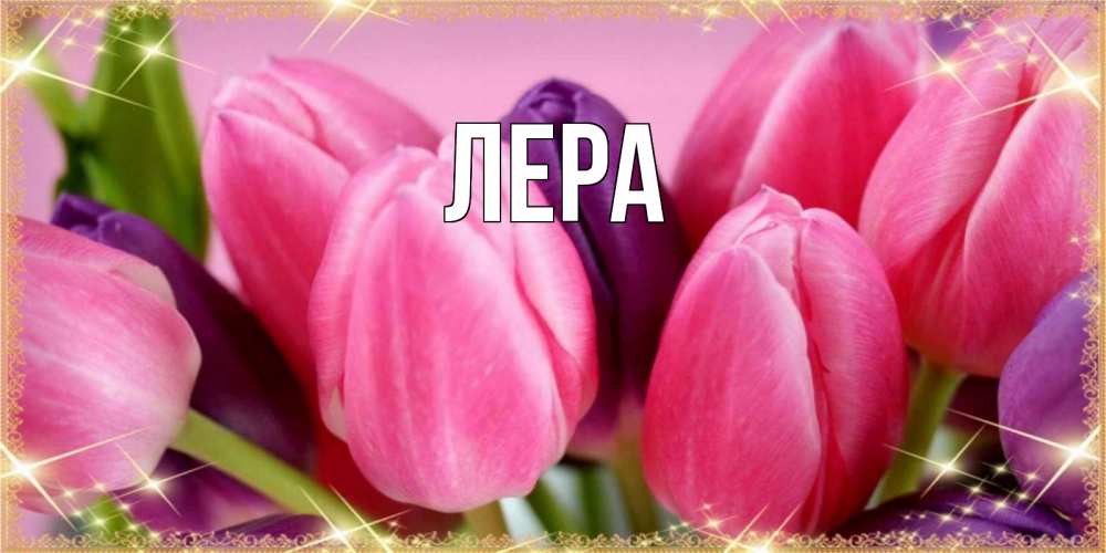Открытка на каждый день с именем, Лера Главная тюльпаны для женщины на международный женский день Прикольная открытка с пожеланием онлайн скачать бесплатно 
