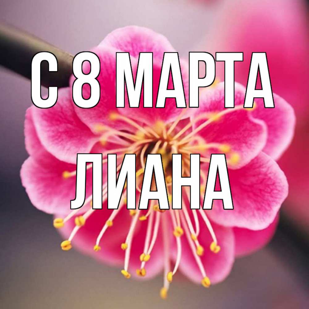 Открытка на каждый день с именем, Лиана С 8 МАРТА цветы Прикольная открытка с пожеланием онлайн скачать бесплатно 