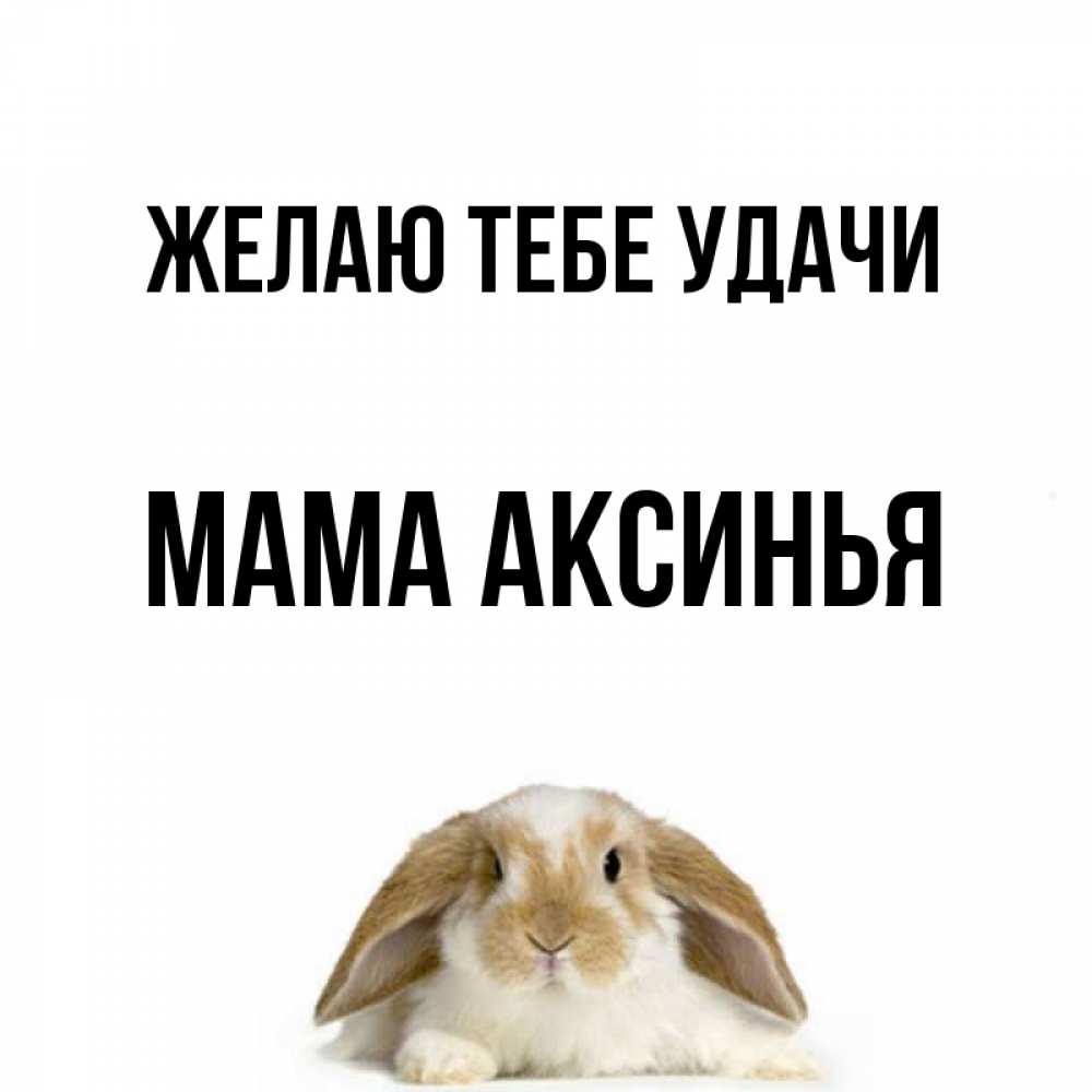 Открытка на каждый день с именем, Мама-Аксинья Желаю тебе удачи открытки с произвольным текстом который можно вставить в открытку и создать ее самостоятельно бесплатно онлайн Прикольная открытка с пожеланием онлайн скачать бесплатно 