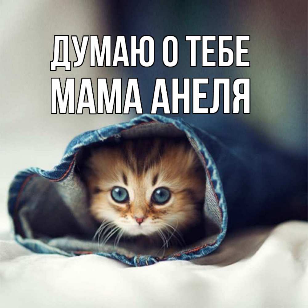 Открытка на каждый день с именем, Мама-Анеля Думаю о тебе мне без тебя плохо Прикольная открытка с пожеланием онлайн скачать бесплатно 