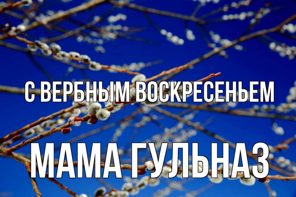Открытка на каждый день с именем, Мама-Гульназ С вербным воскресеньем верба Прикольная открытка с пожеланием онлайн скачать бесплатно 