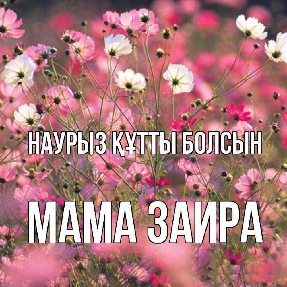 Открытка на каждый день с именем, Мама-Заира Наурыз құтты болсын красиво 1 Прикольная открытка с пожеланием онлайн скачать бесплатно 
