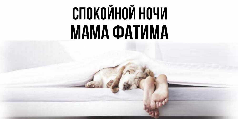 Открытка на каждый день с именем, Мама-Фатима Спокойной ночи кровать с собакой пожелание сладких снов и спокойной ночи Прикольная открытка с пожеланием онлайн скачать бесплатно 