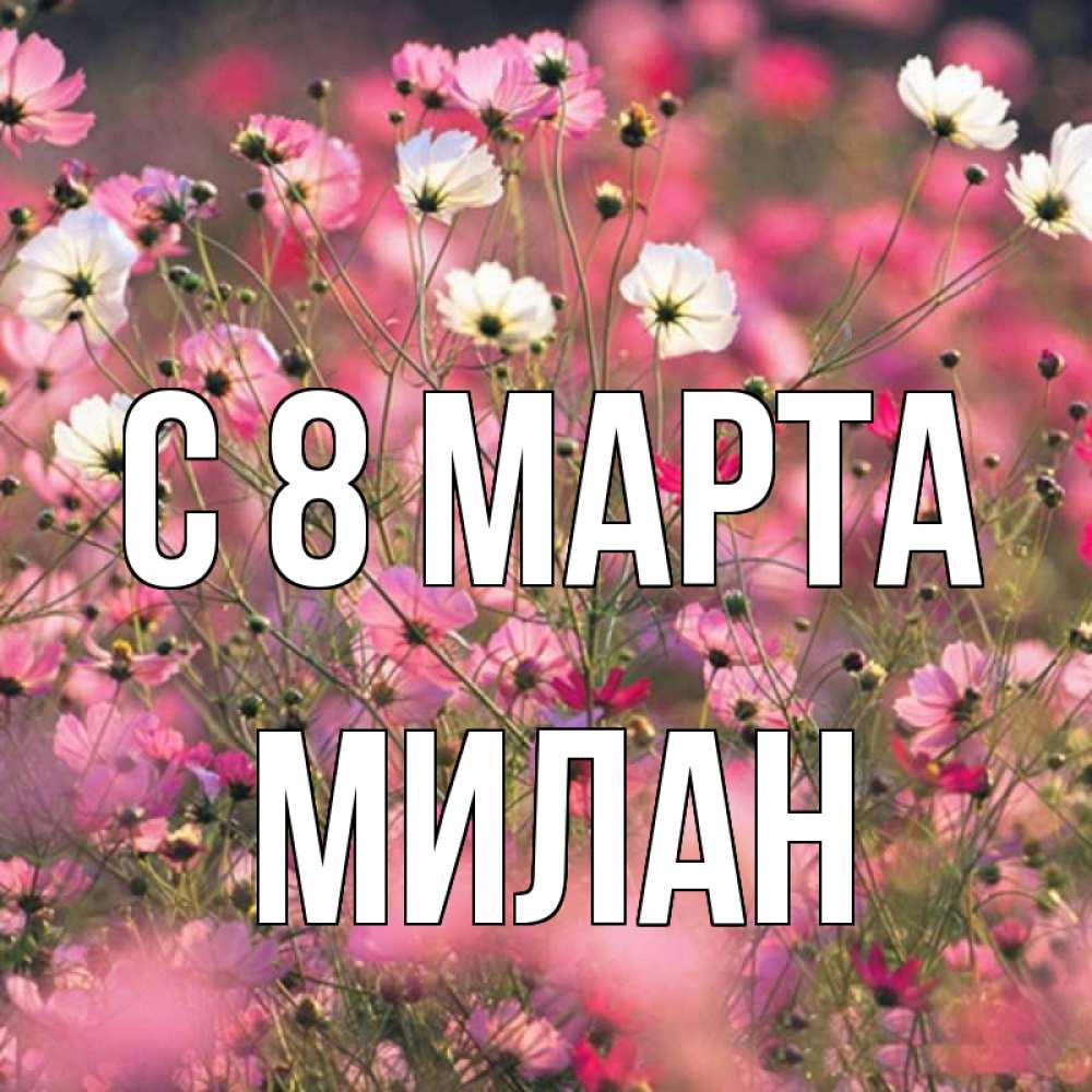 Открытка на каждый день с именем, Милан С 8 МАРТА красиво 1 Прикольная открытка с пожеланием онлайн скачать бесплатно 