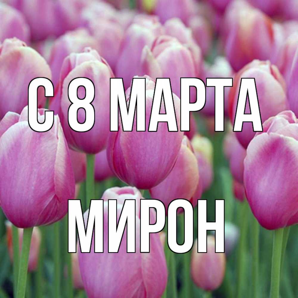 Открытка на каждый день с именем, Мирон С 8 марта на международный женский день 3 Прикольная открытка с пожеланием онлайн скачать бесплатно 