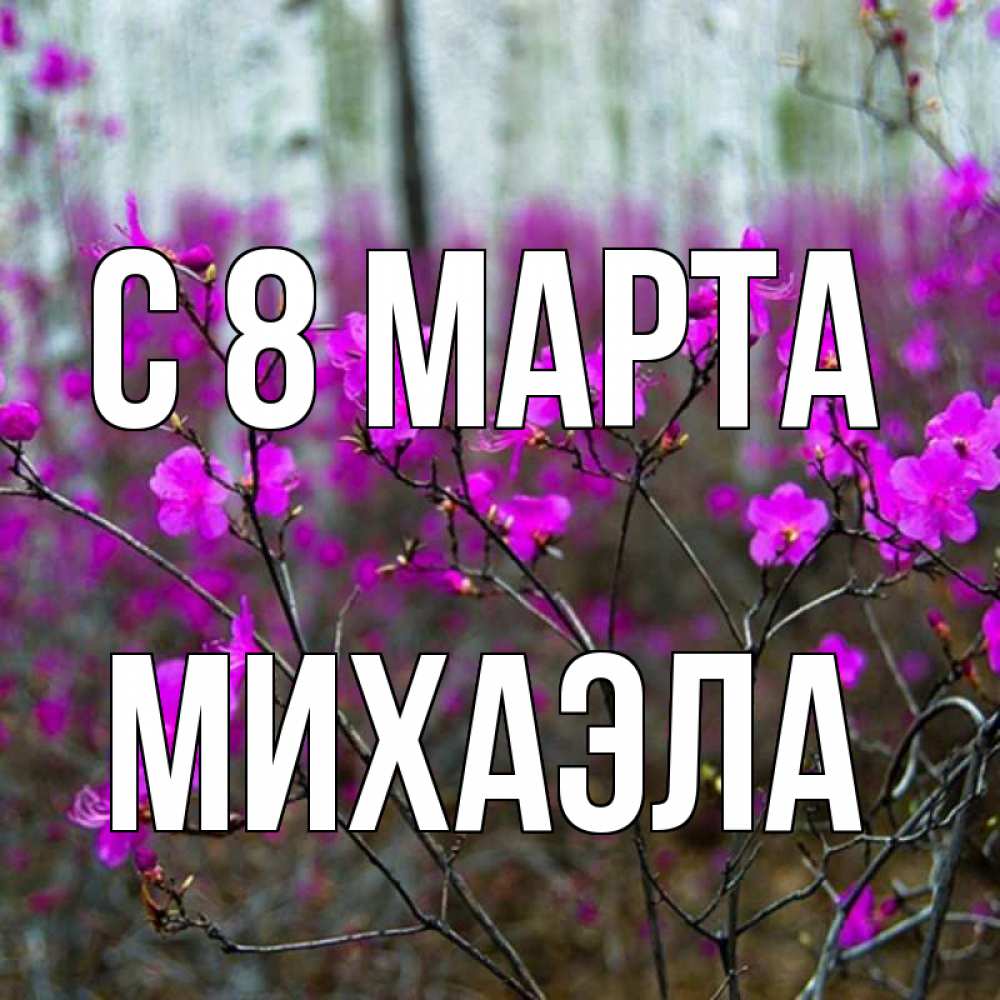Открытка на каждый день с именем, Михаэла С 8 МАРТА дикие цветы Прикольная открытка с пожеланием онлайн скачать бесплатно 