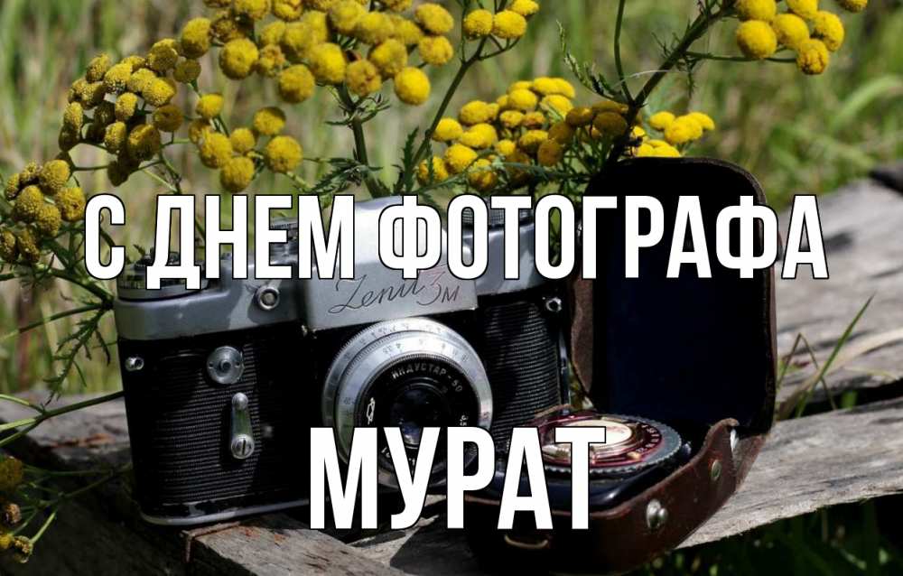 Открытка на каждый день с именем, Мурат С днем фотографа с днем фотографа Прикольная открытка с пожеланием онлайн скачать бесплатно 