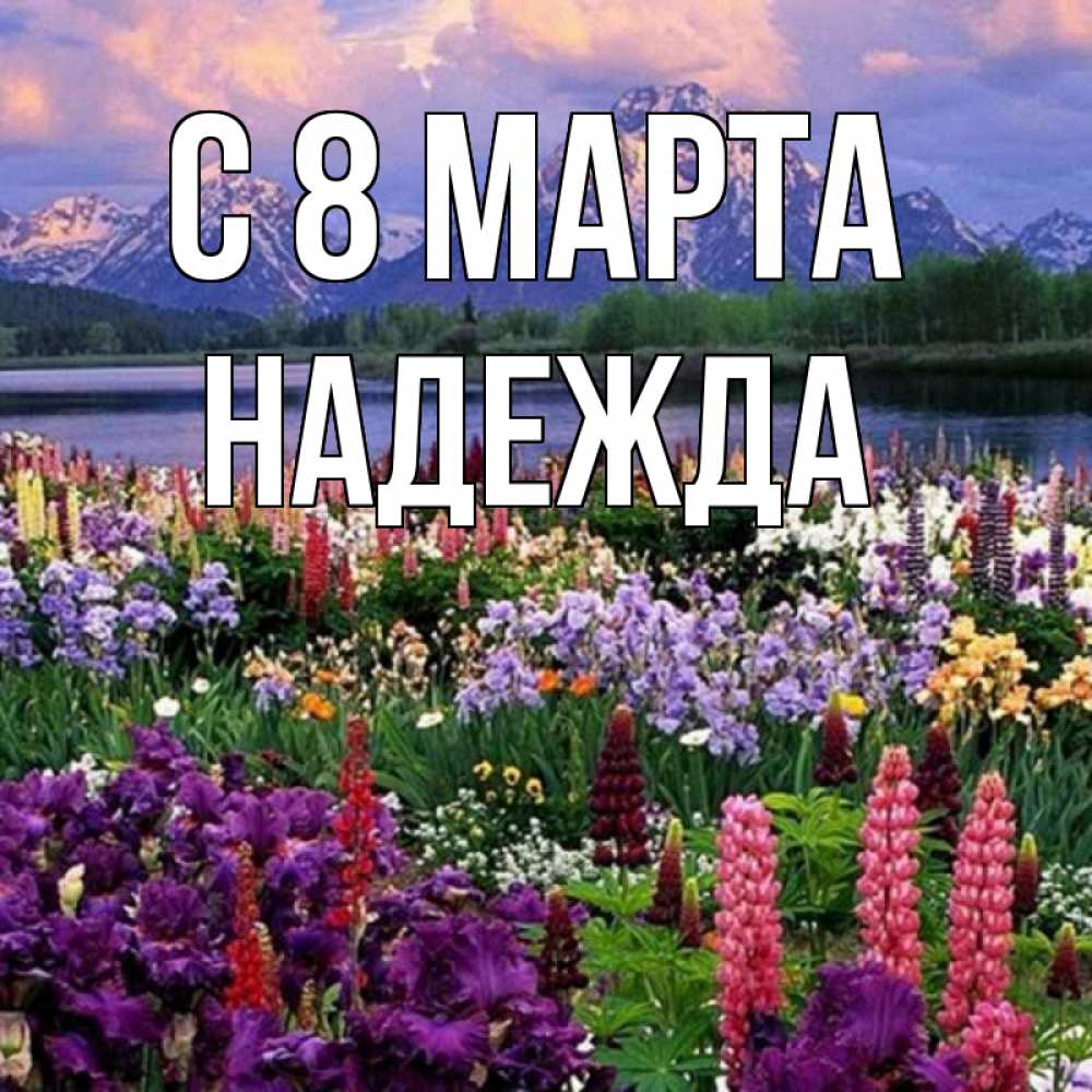 Открытка на каждый день с именем, Надежда С 8 МАРТА международный женский день Прикольная открытка с пожеланием онлайн скачать бесплатно 