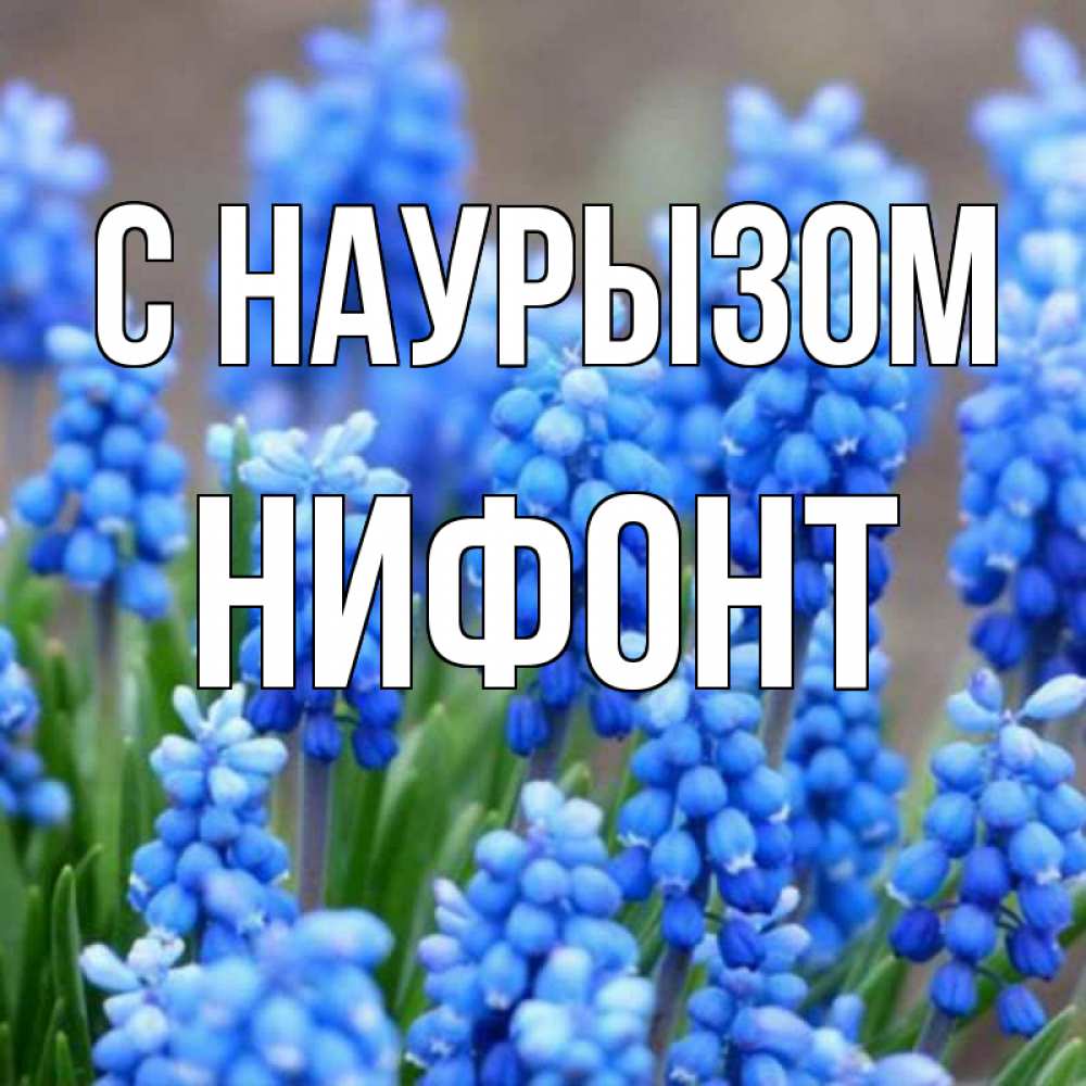 Открытка на каждый день с именем, Нифонт С наурызом Поздравительная открытка для женщин с цветами на праздничную дату Прикольная открытка с пожеланием онлайн скачать бесплатно 