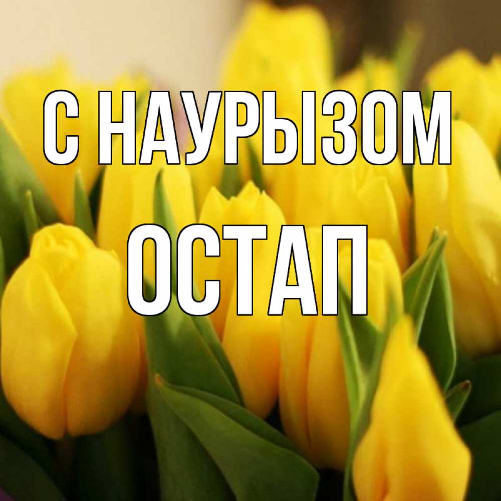 Открытка на каждый день с именем, Остап С наурызом цветы Прикольная открытка с пожеланием онлайн скачать бесплатно 