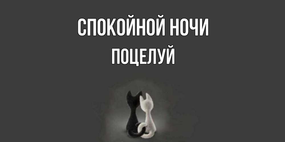 Открытка на каждый день с именем, Поцелуй Спокойной ночи коты Прикольная открытка с пожеланием онлайн скачать бесплатно 