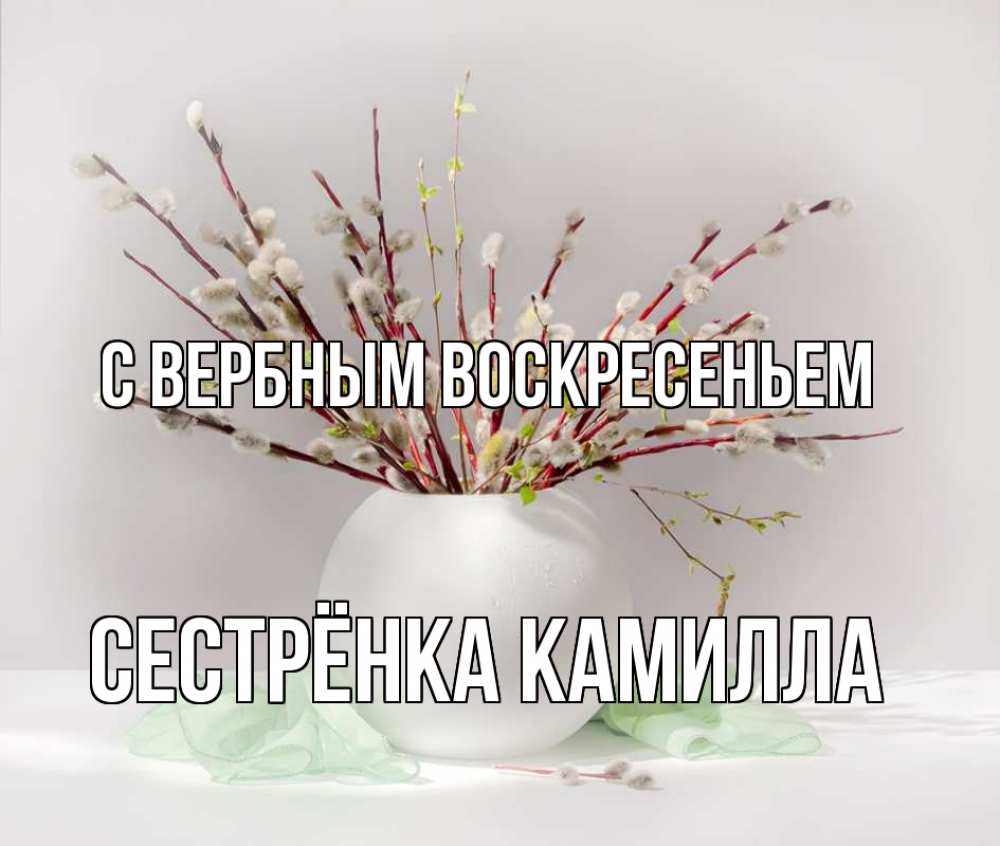Открытка на каждый день с именем, Сестрёнка-Камилла С вербным воскресеньем верба Прикольная открытка с пожеланием онлайн скачать бесплатно 