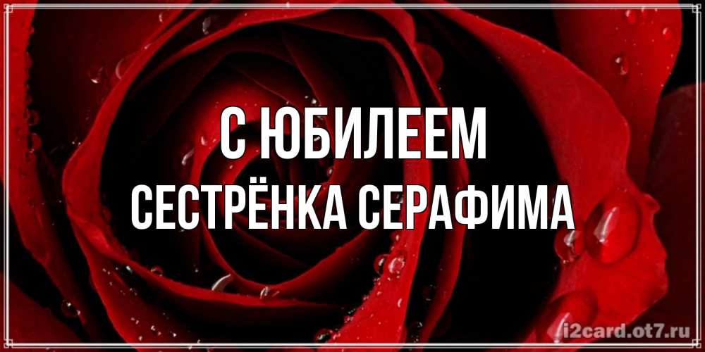 Открытка на каждый день с именем, Сестрёнка-Серафима С юбилеем крупная бордовая роза Прикольная открытка с пожеланием онлайн скачать бесплатно 