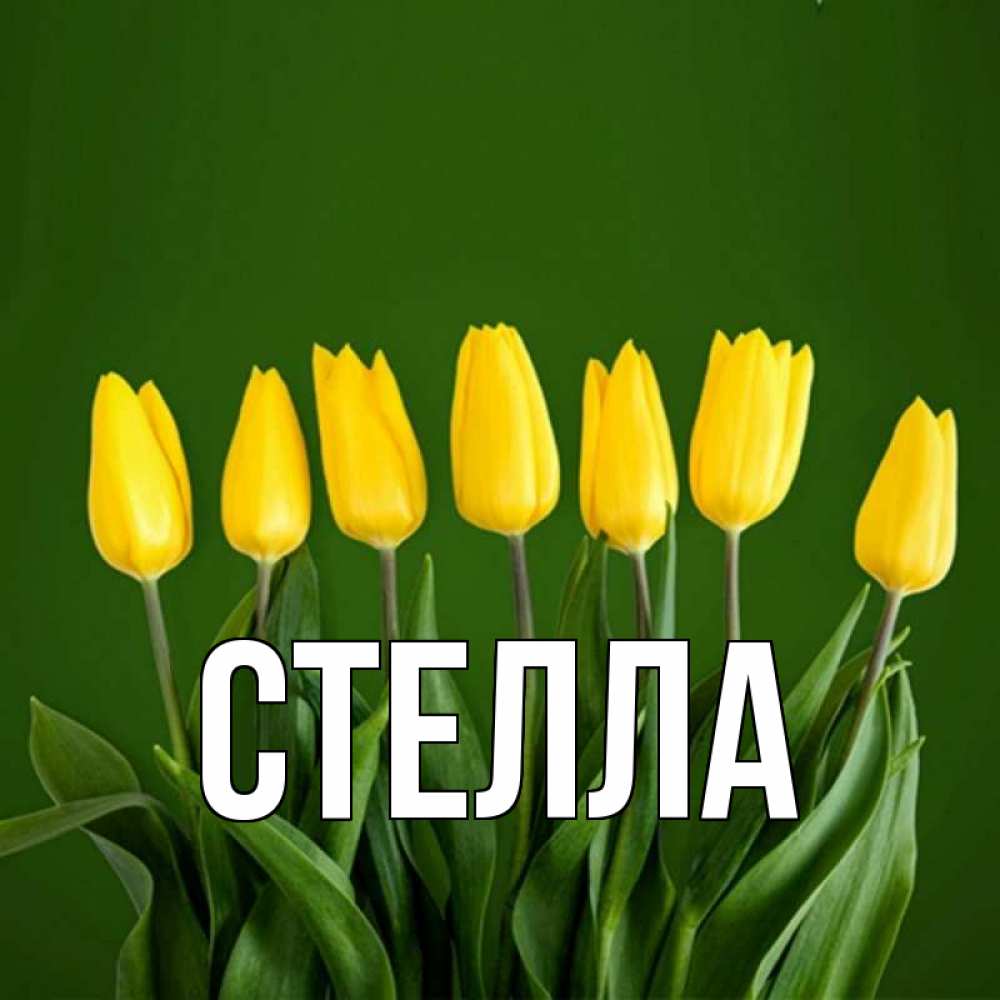 Открытка на каждый день с именем, Стелла Главная желтого цвета 3 Прикольная открытка с пожеланием онлайн скачать бесплатно 