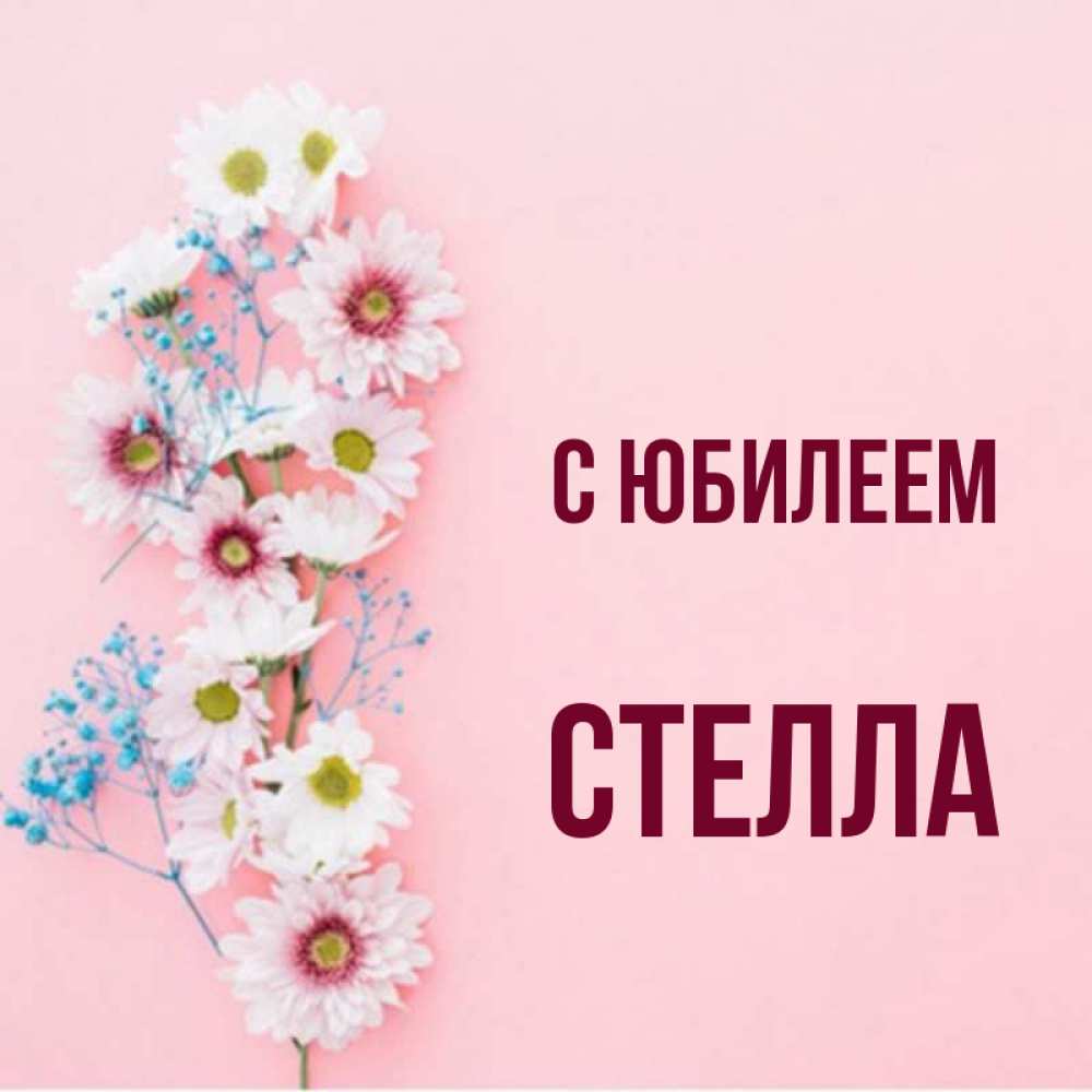 Открытка на каждый день с именем, Стелла С юбилеем Родная моя с днем рождения тебя картинка с цветами белыми и голубыми Прикольная открытка с пожеланием онлайн скачать бесплатно 