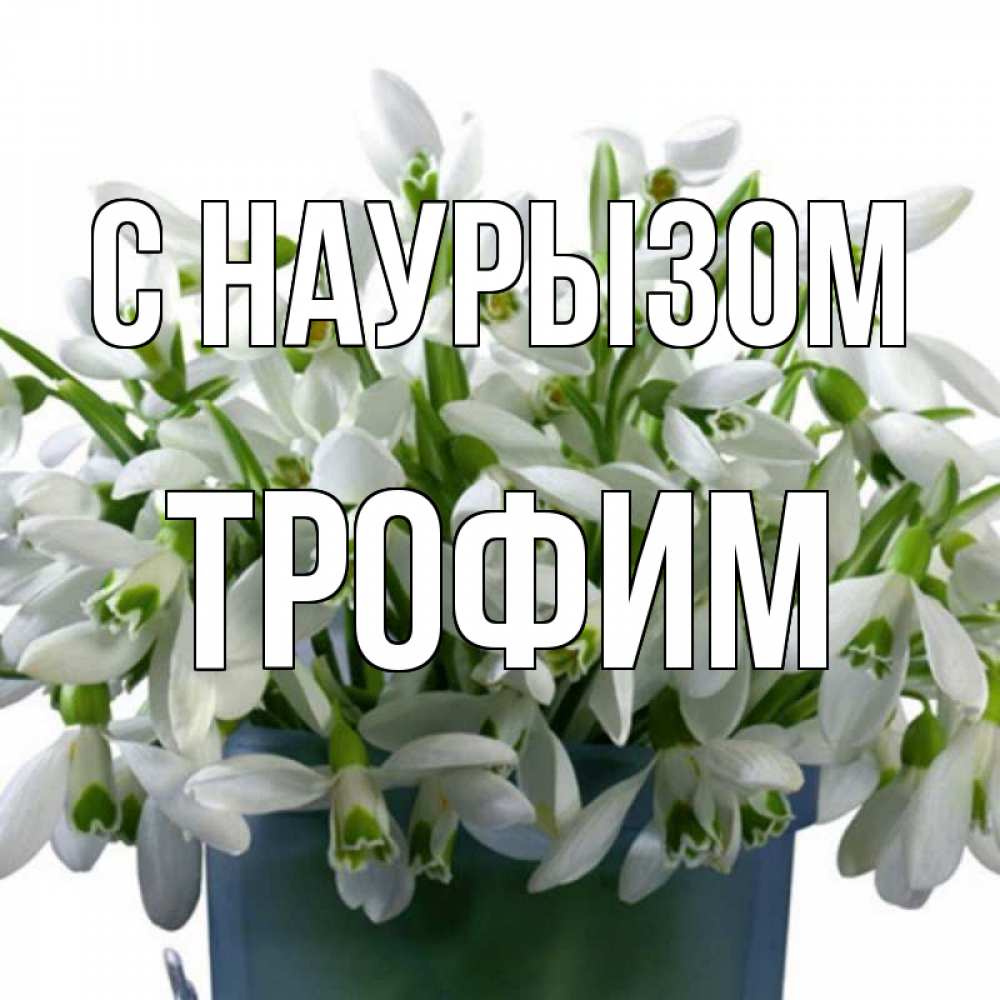 Открытка на каждый день с именем, Трофим С наурызом цветы к наурызу новый год в Казахстане Прикольная открытка с пожеланием онлайн скачать бесплатно 