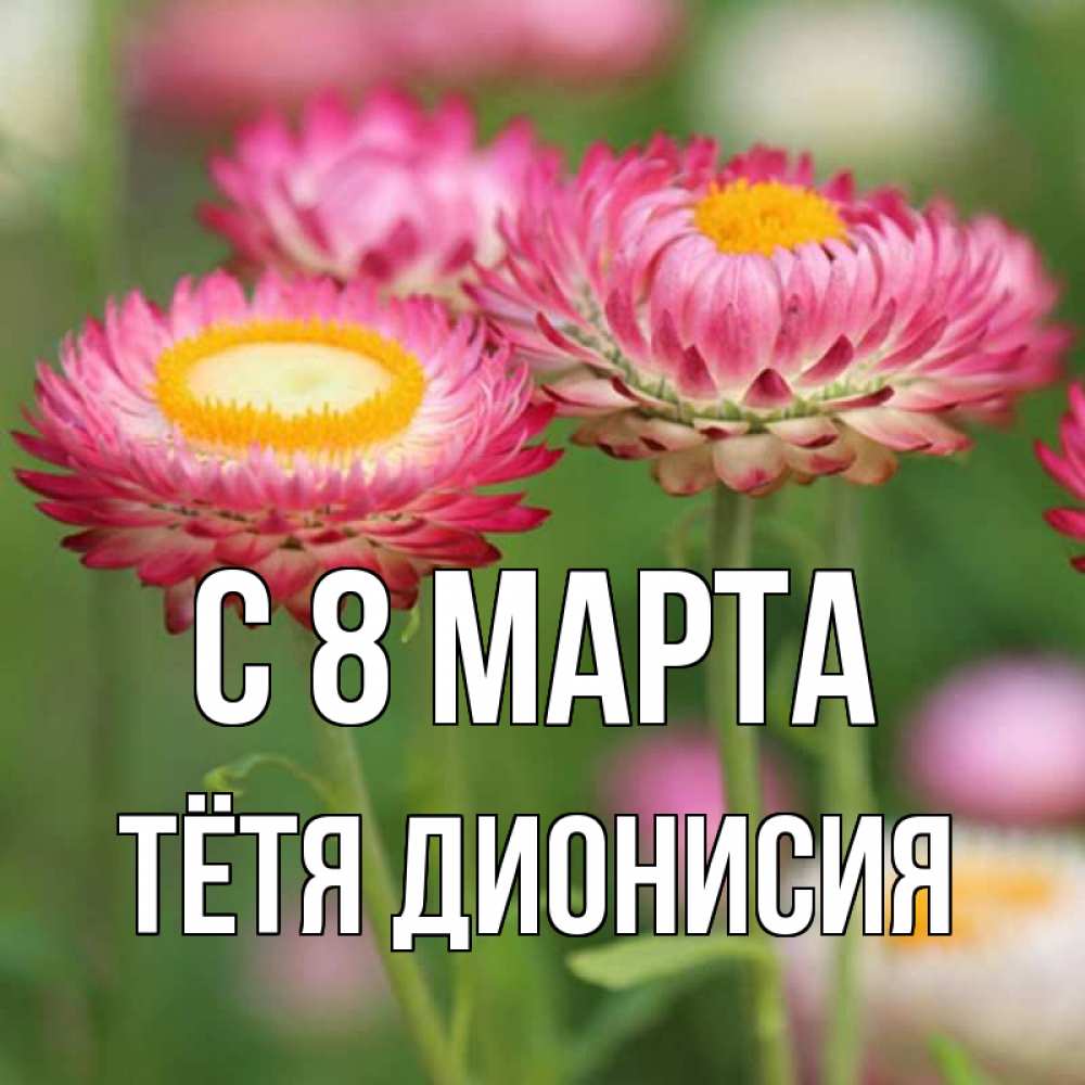 Открытка на каждый день с именем, Тётя-Дионисия С 8 МАРТА подарок на международный женский день Прикольная открытка с пожеланием онлайн скачать бесплатно 