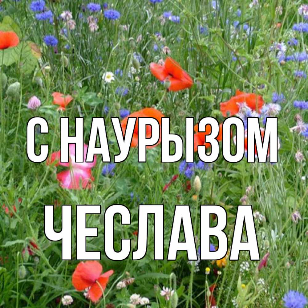 Открытка на каждый день с именем, Чеслава С наурызом праздник весны наурыз супер открытка Прикольная открытка с пожеланием онлайн скачать бесплатно 