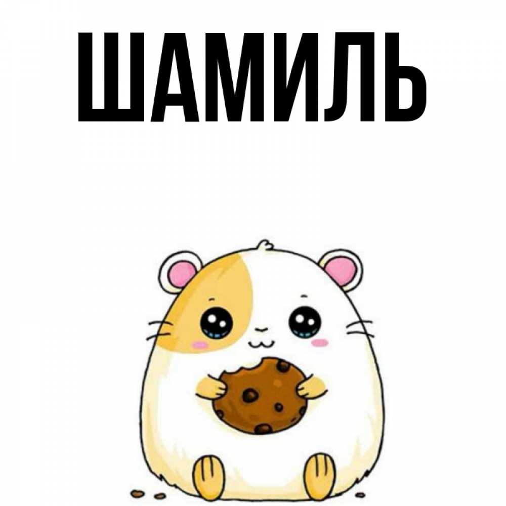 Открытка на каждый день с именем, Шамиль Главная с днюхой Прикольная открытка с пожеланием онлайн скачать бесплатно 