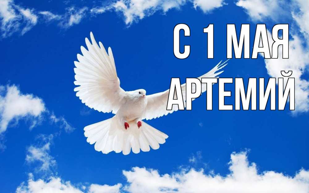Открытка на каждый день с именем, Артемий С 1 мая С 1 мая 1 Прикольная открытка с пожеланием онлайн скачать бесплатно 