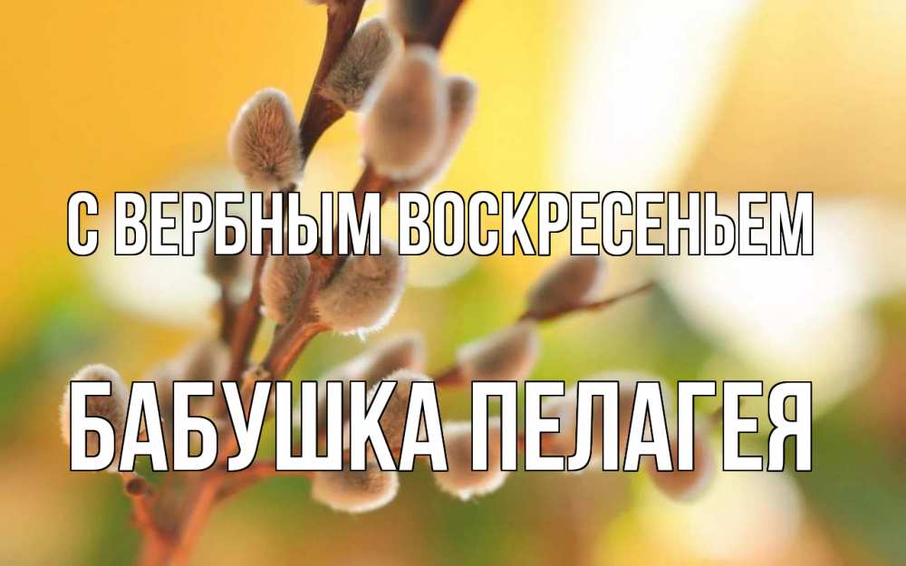 Открытка на каждый день с именем, Бабушка-Пелагея С вербным воскресеньем верба Прикольная открытка с пожеланием онлайн скачать бесплатно 