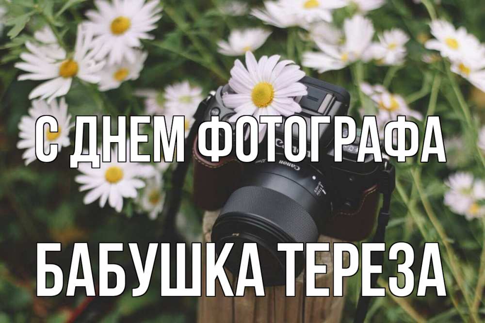 Открытка на каждый день с именем, Бабушка-Тереза С днем фотографа с днем фотографа Прикольная открытка с пожеланием онлайн скачать бесплатно 